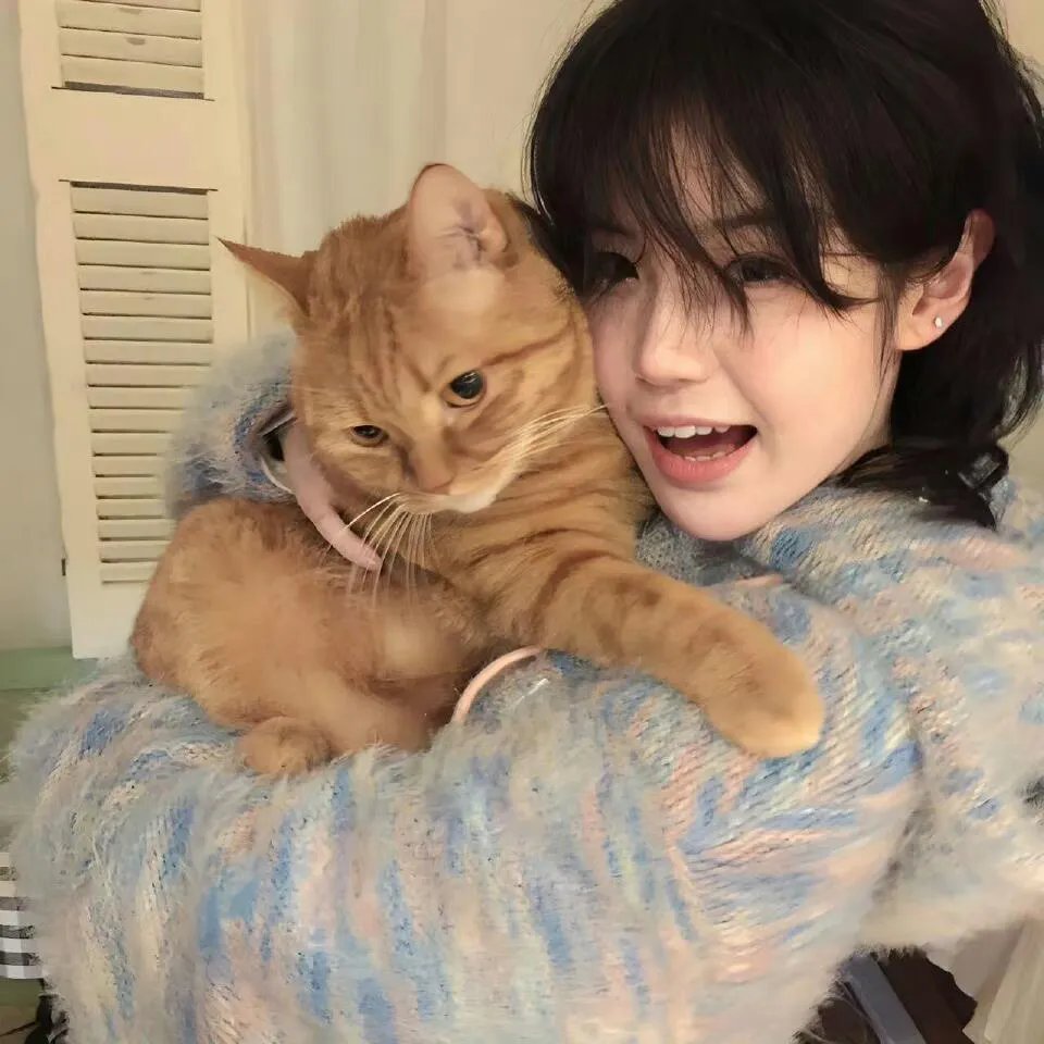 汪汪队立大功大电影2：超能大冒险